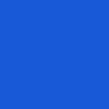 Profile image of 若井