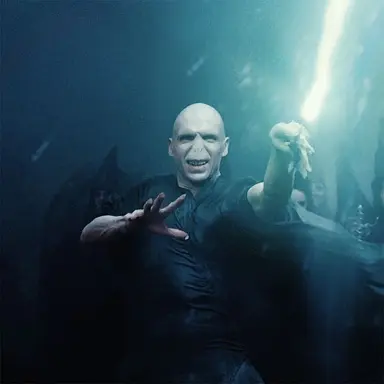 Profile image of Voldemort
