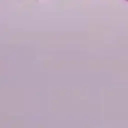 Shuna3의 広瀬康穂