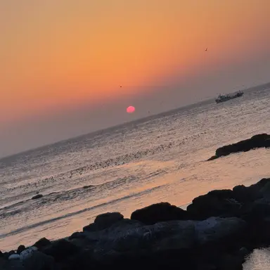 Profile image of 감제이