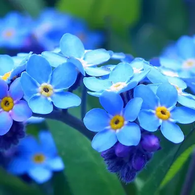 Profile image of 유노이아