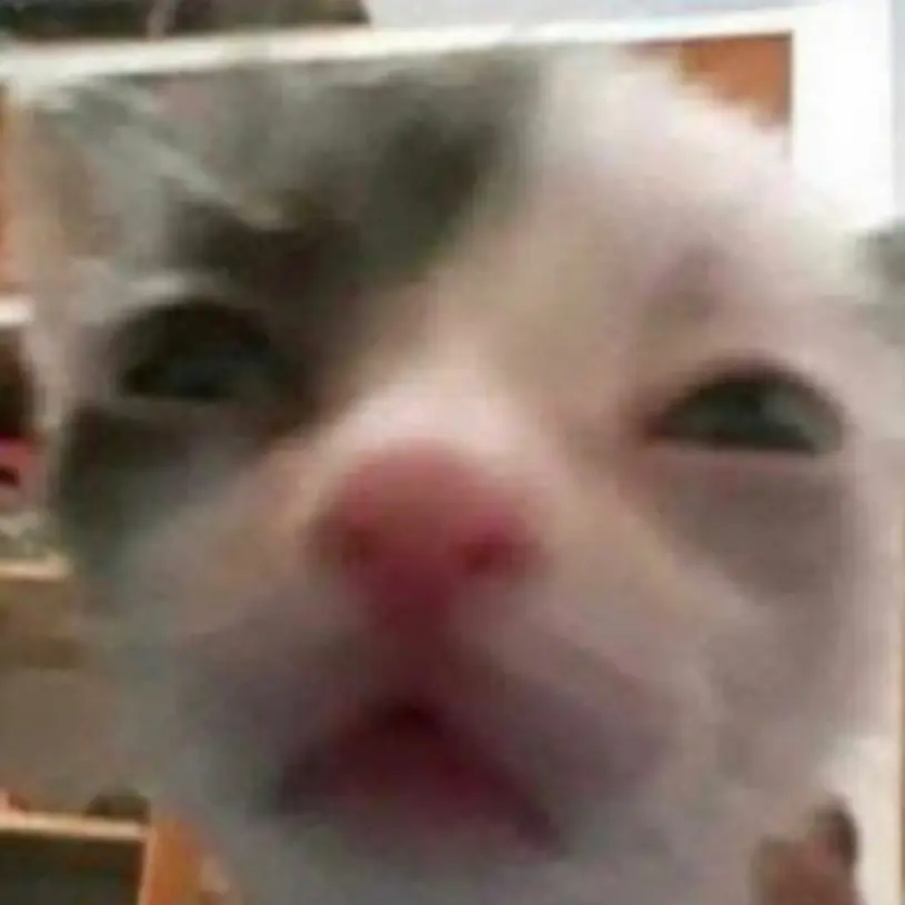 U0u_MLol의 베카