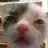 베카