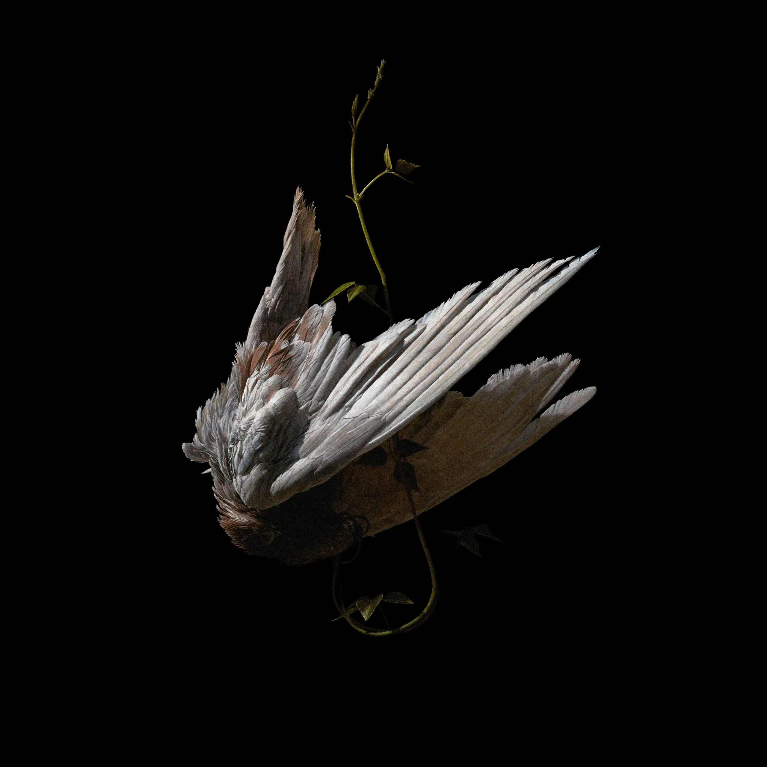 earthworm_3의 문인섭