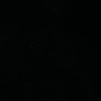 V.I