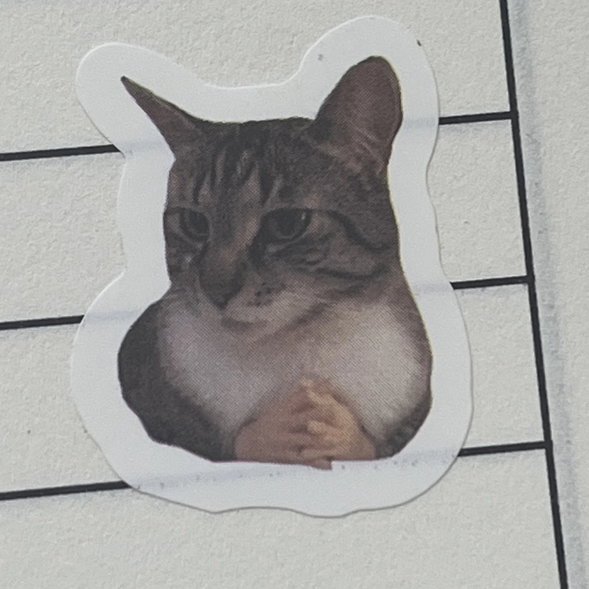 남도형