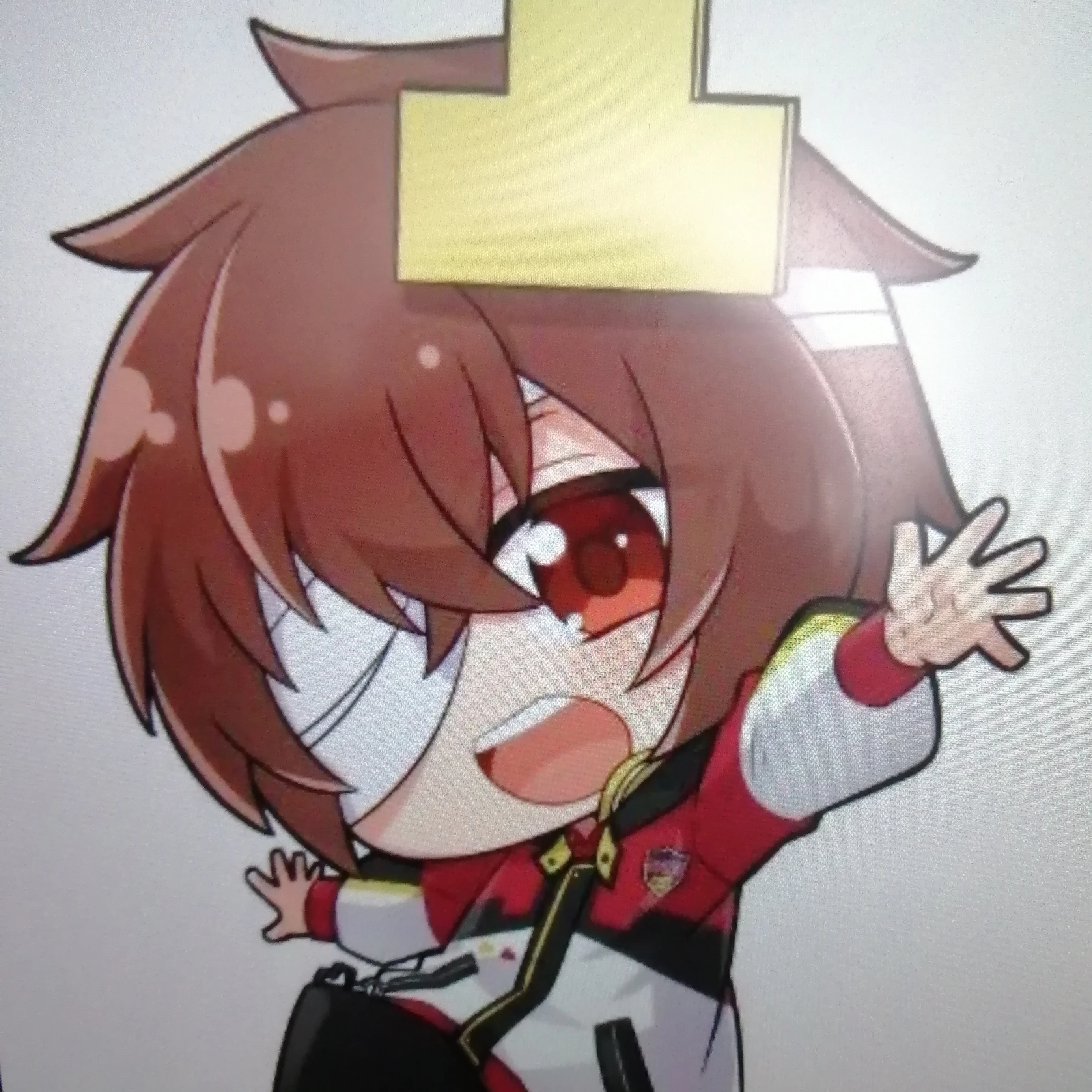 凸もり