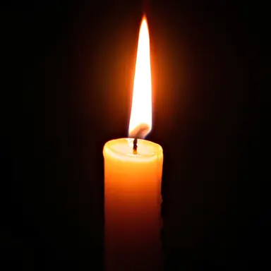 Profile image of 학생들