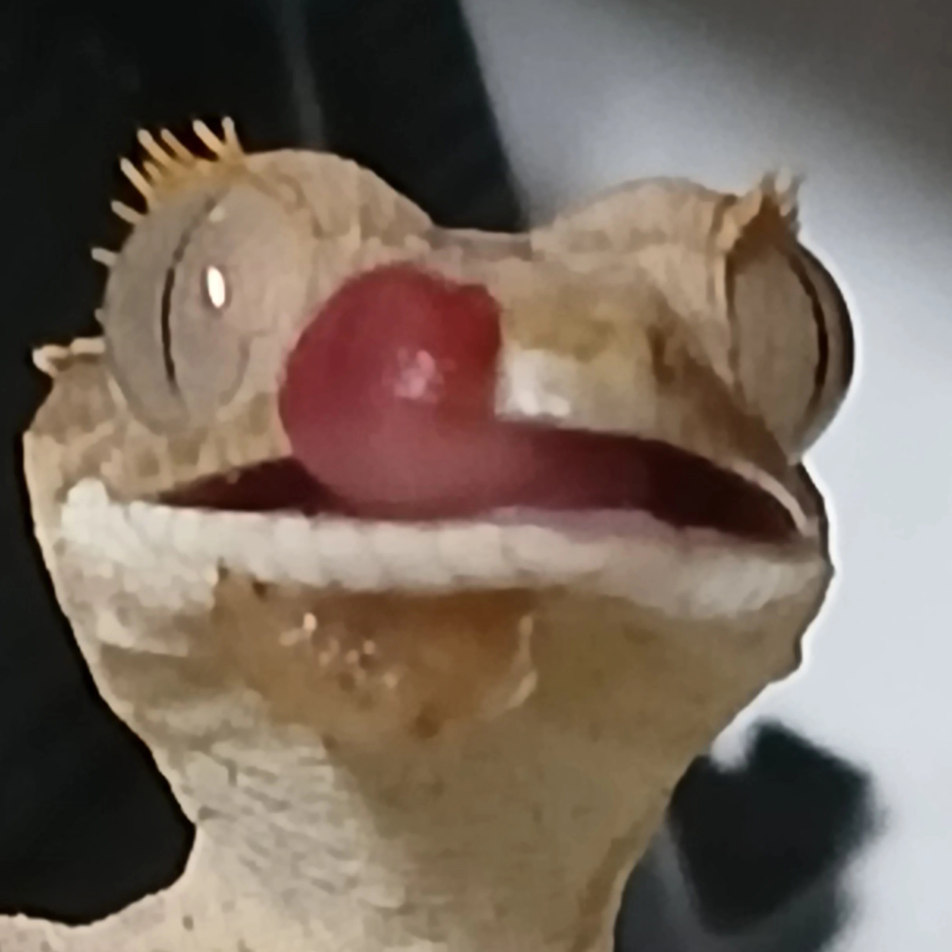 고일이