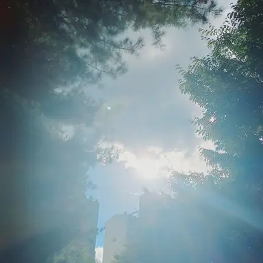 Profile image of 우리