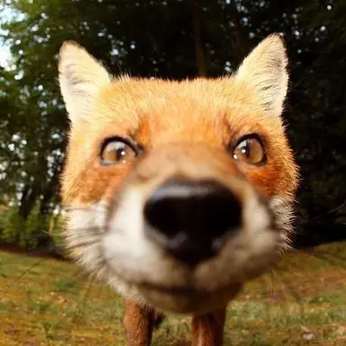 Profile image of 호유원