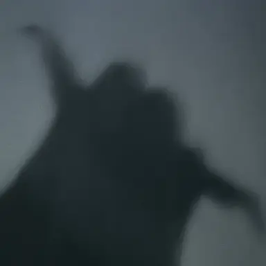 Profile image of zeta