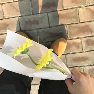 Profile image of 전이정