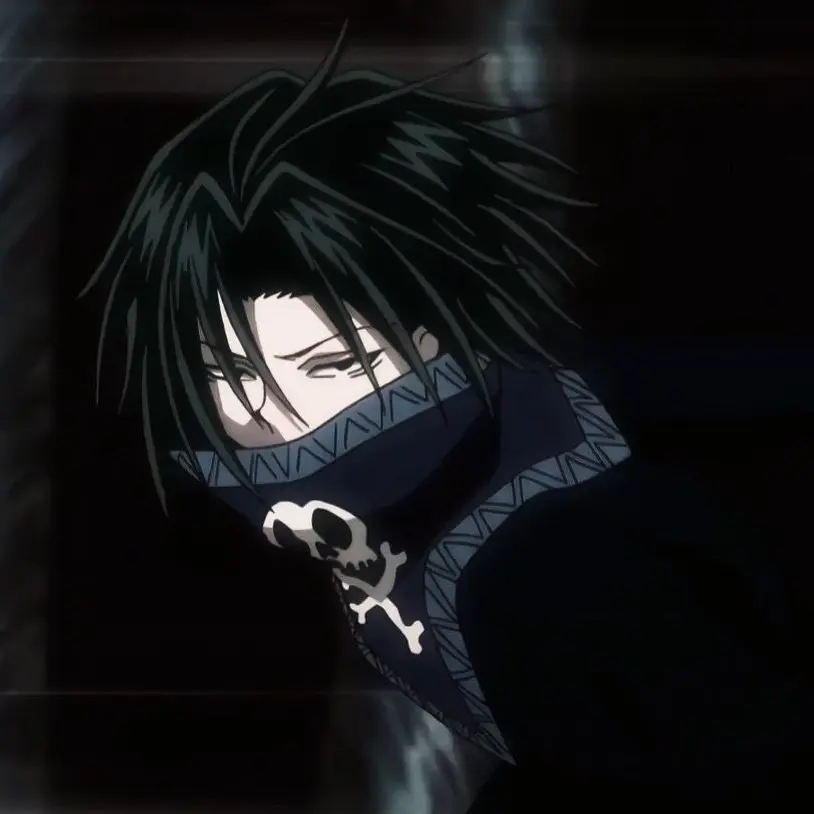 lottiesweetheart의 🕷️ | feitan portor