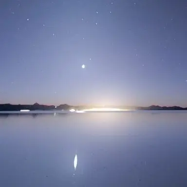 Profile image of 양정원