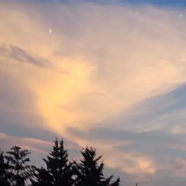 Profile image of 평학