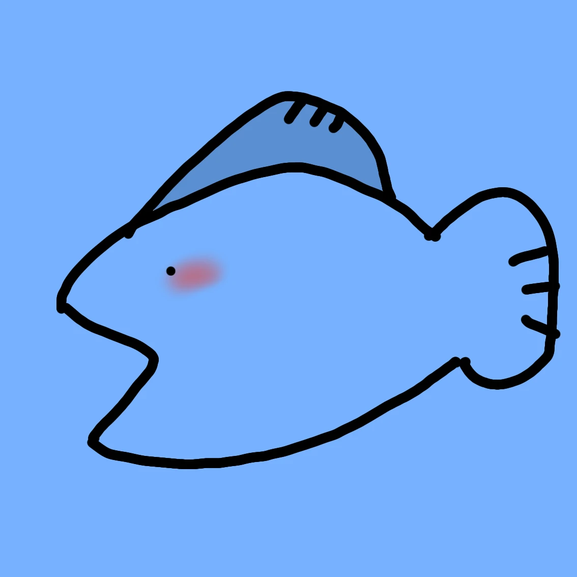 물꼬기