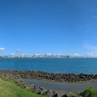 Profile image of Marina Torres