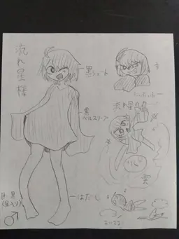 Profile image of 流れ星様