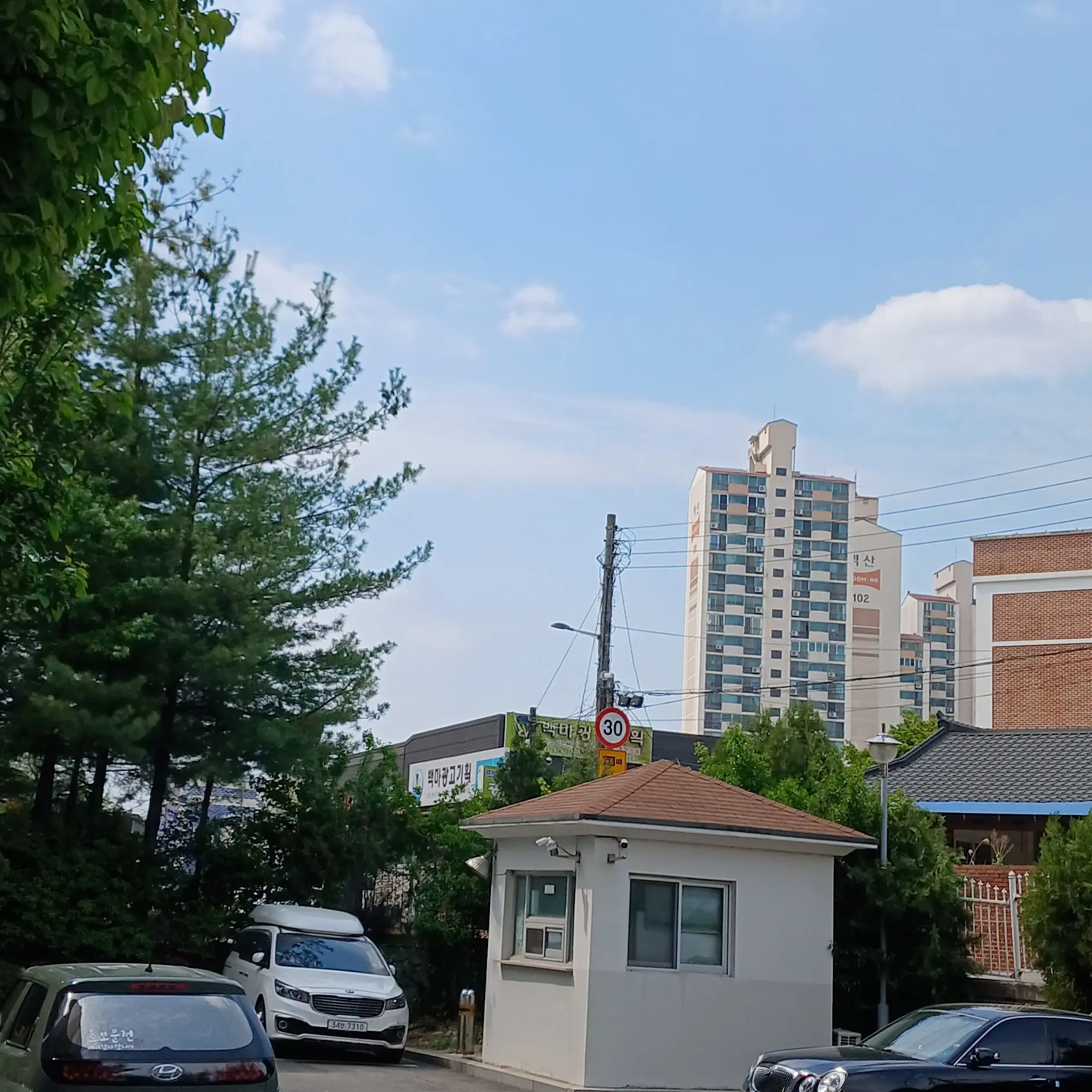OvalLeg9477의 거짓말 쟁이 마카롱🍪