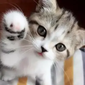 Profile image of 당신