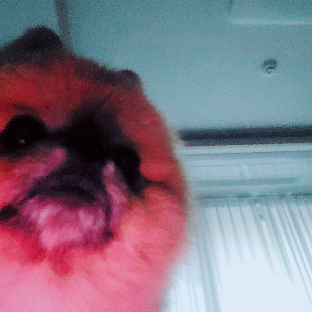 모찌엘님의 탈퇴 대표 이미지