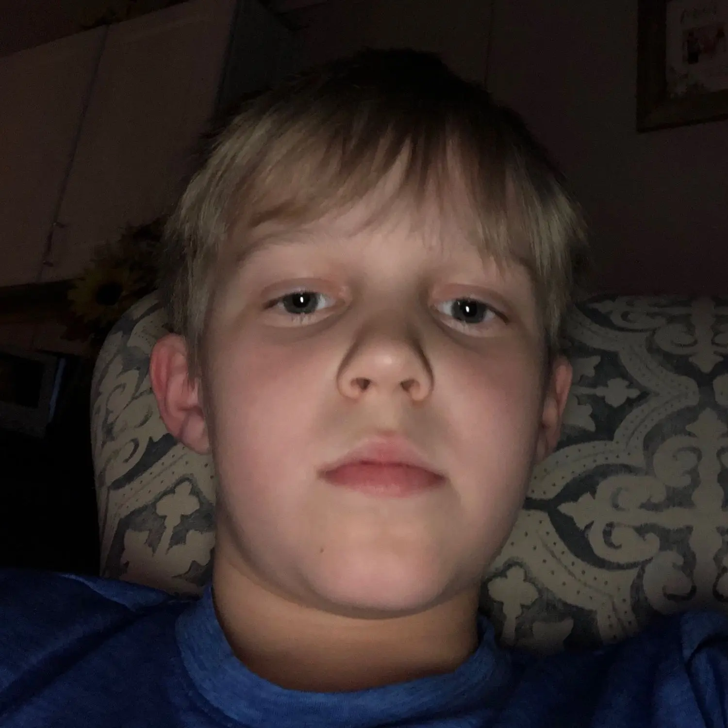 LazyVoice2731의 The Heir's Gentle Guard