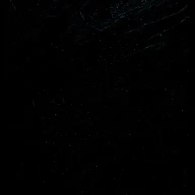 Profile image of X.M.H