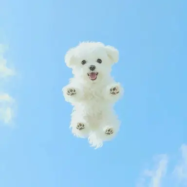 Profile image of 신예찬