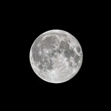 Profile image of 디투