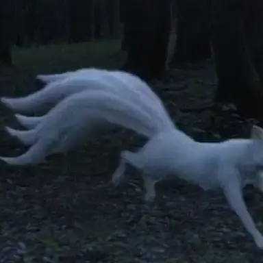 Profile image of 성희