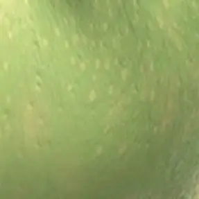 Profile image of マイク