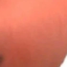 백강혁