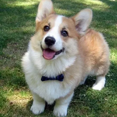 Profile image of 로하