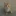 융