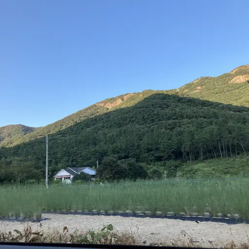NeatBall3666의 손서윤