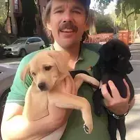 ChewyViola1441의 Ethan hawke