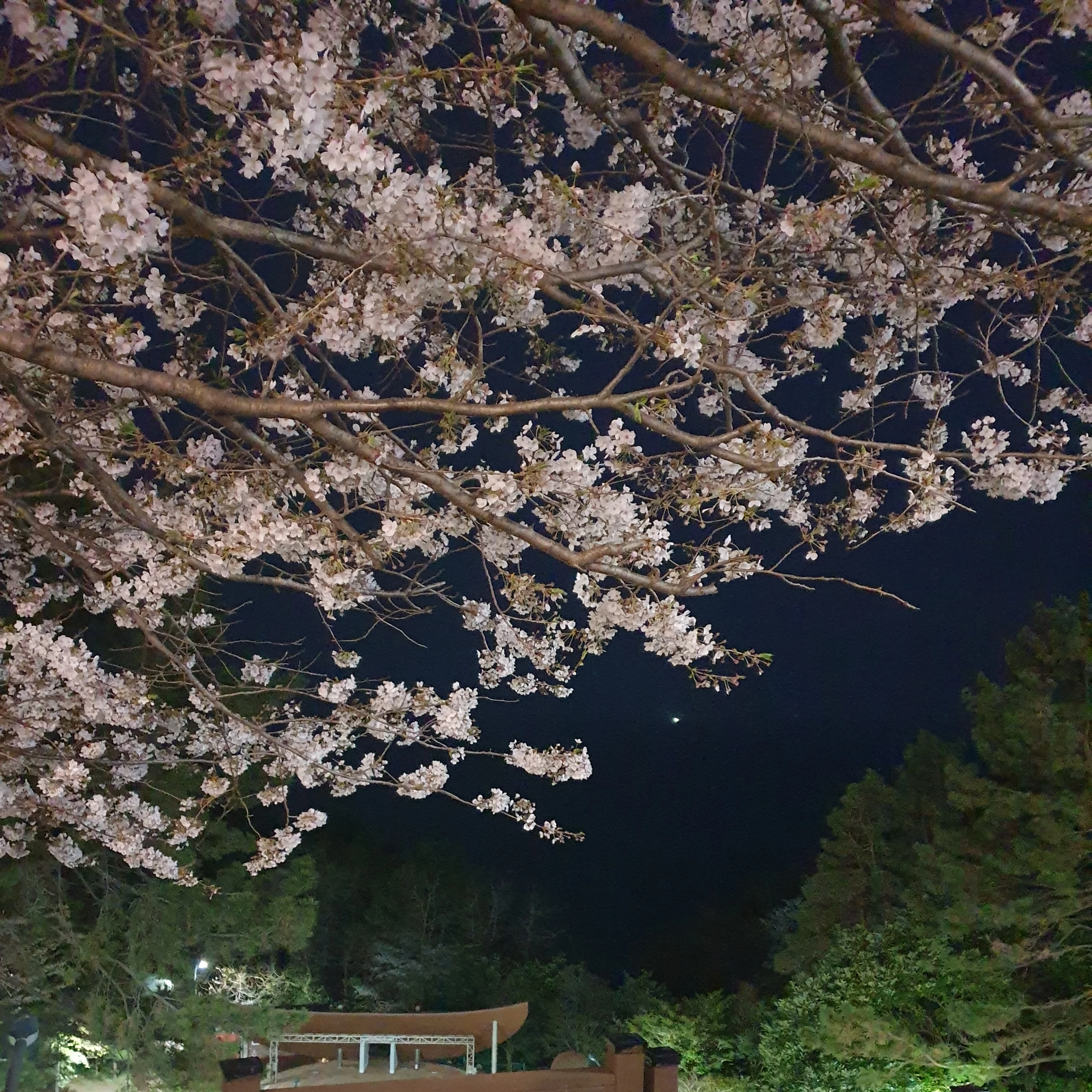 미겜즈