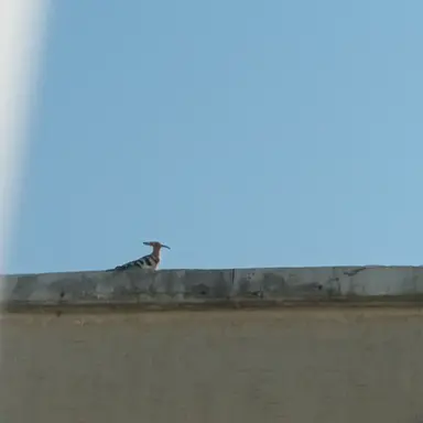 Profile image of 서은아