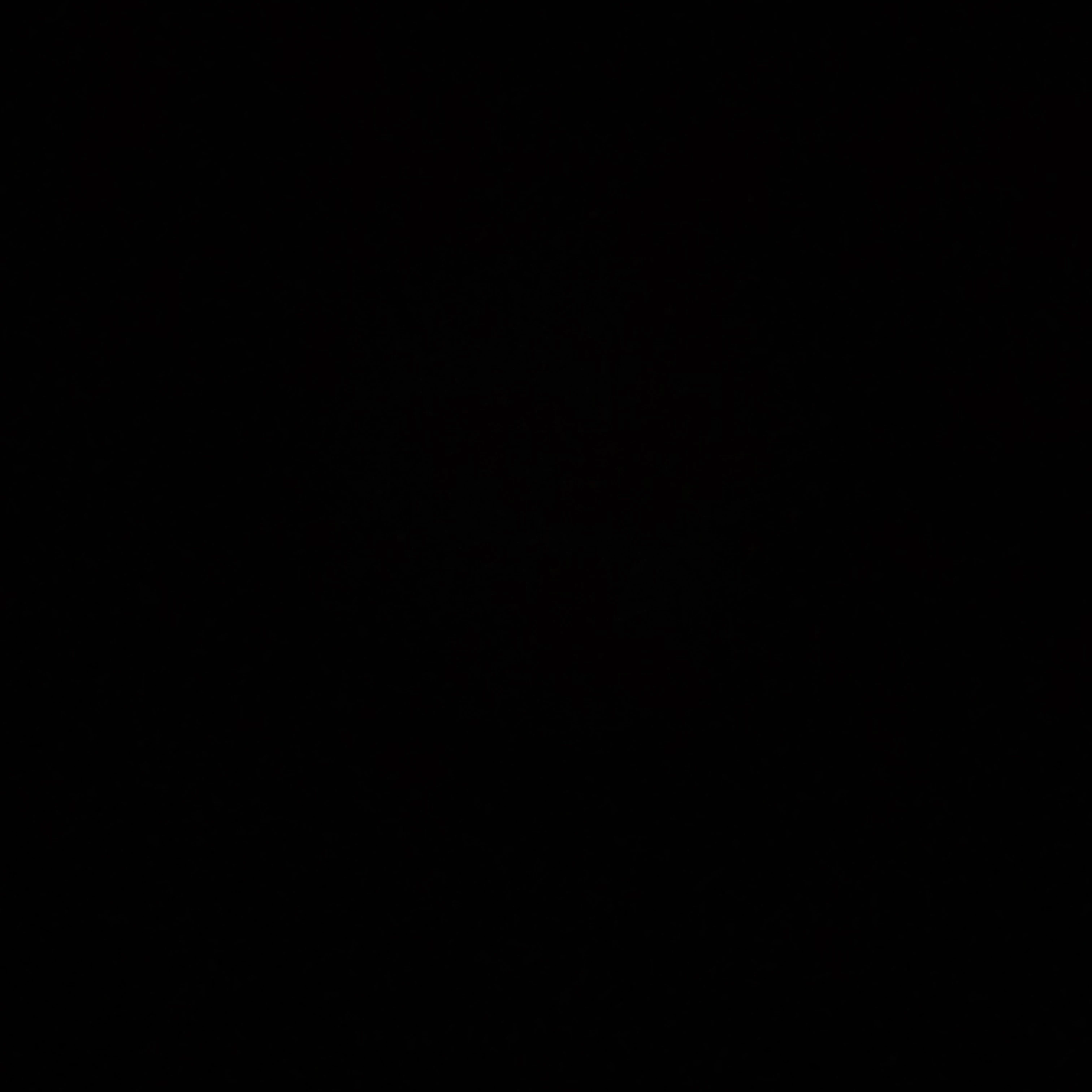 김동현
