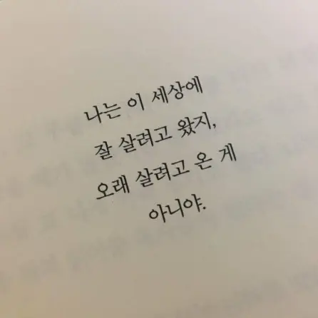 BronzeVole2795의 상담사