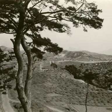 Profile image of 이상