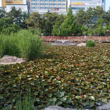 Profile image of 아빠