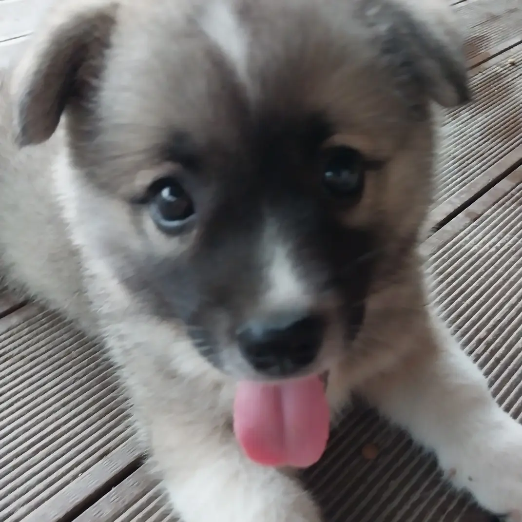 yulbi_2N의 또리