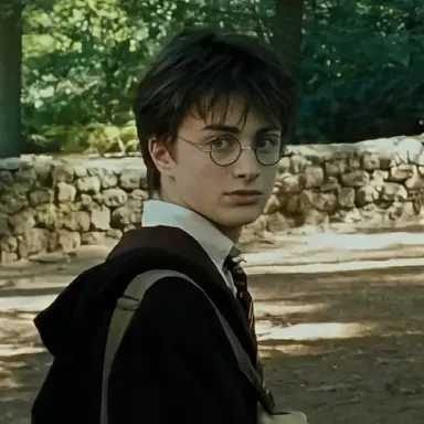 Profile image of Harry Potter