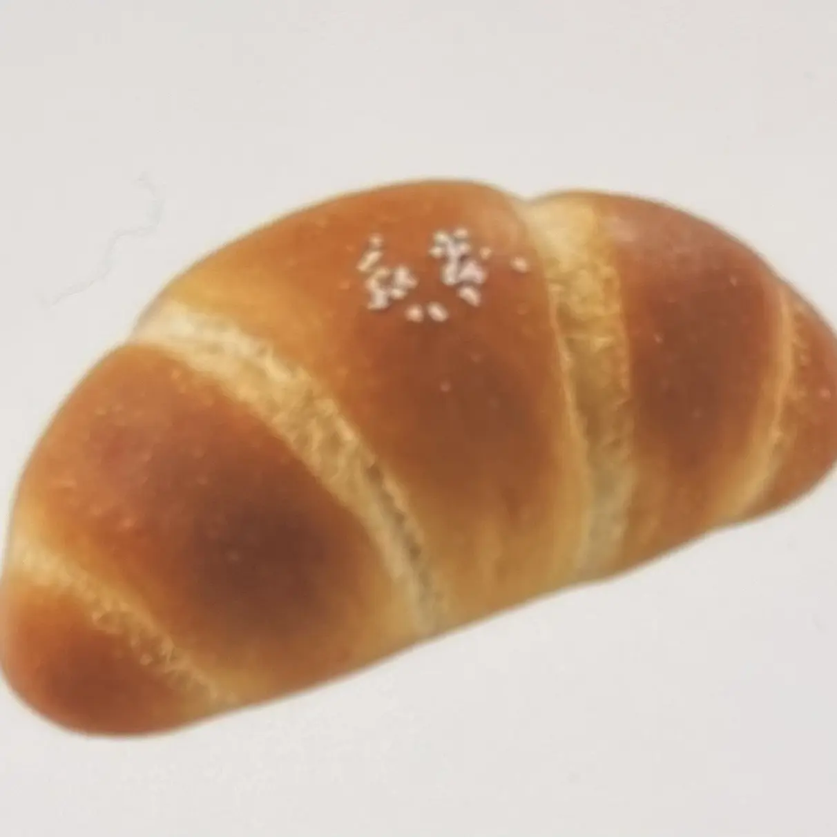 SaltyPiu6006의 꿈뜰제과