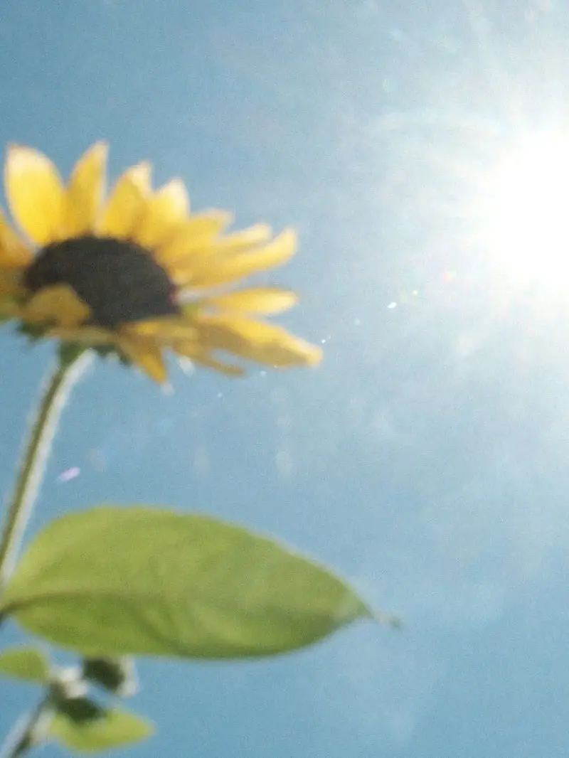 big_curfew의 悲しいね II