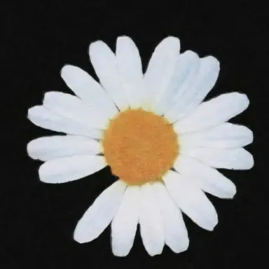 Profile image of 권지용 최승현