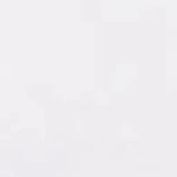 장한음