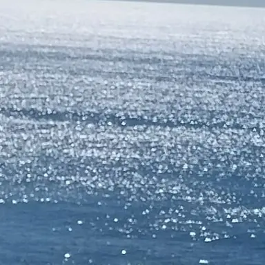 Profile image of 임나연